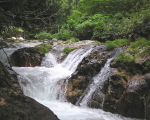 水上温泉 山楽荘 周辺の観光案内<照葉峡>